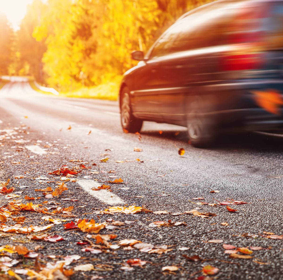 AvD Pressemeldung - Gute Fahrt und sicheres Ankommen im HerbstCopyright (c) 2022 LeManna/Shutterstock. No use without permission. (Photographer)
