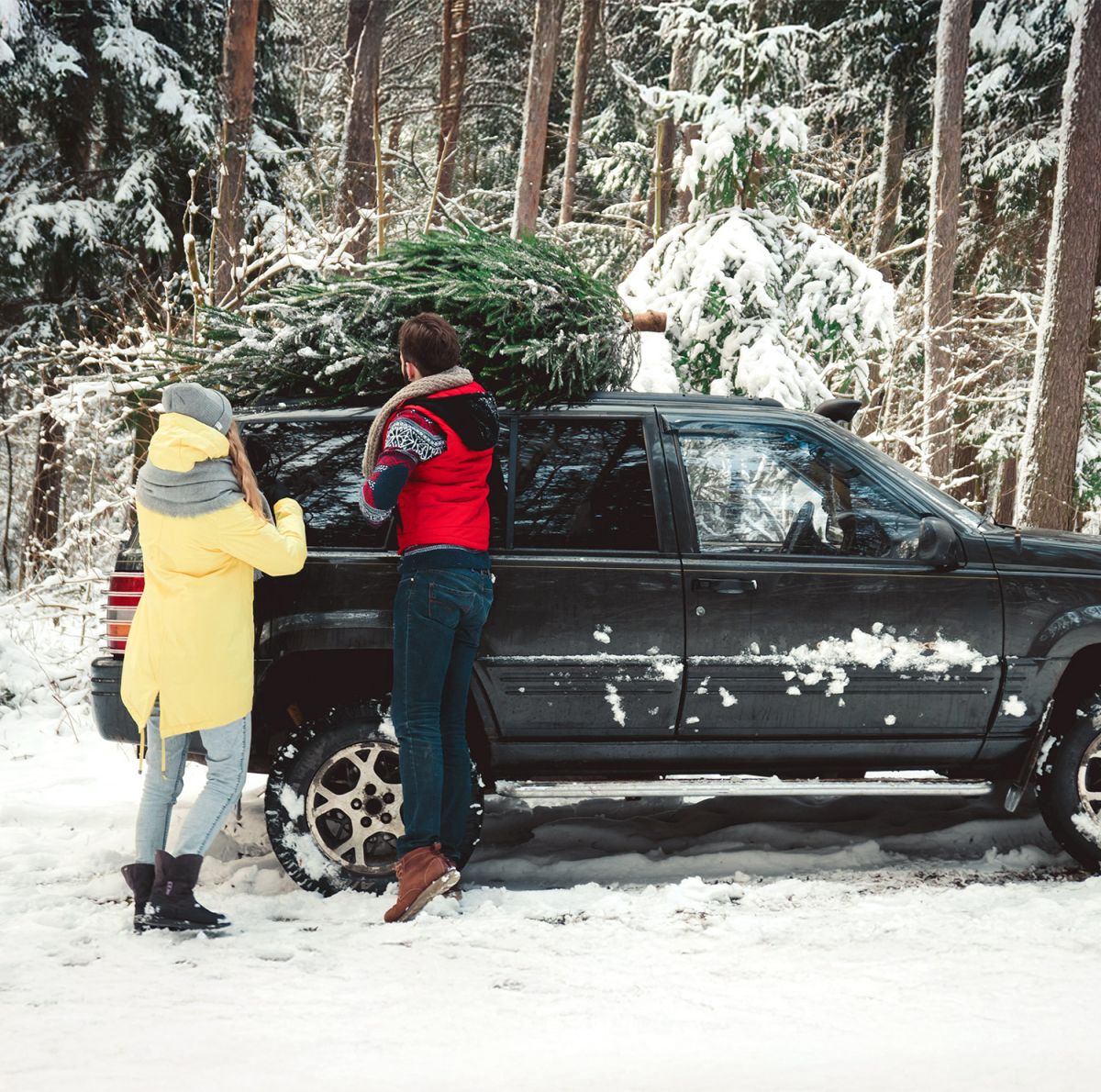 AvD Pressemeldung - Weihnachtsbaum und Festtagsschmuck sicher transportierenCopyright (c) 2017 Supamotionstock.com/Shutterstock. No use without permission. (Photographer)