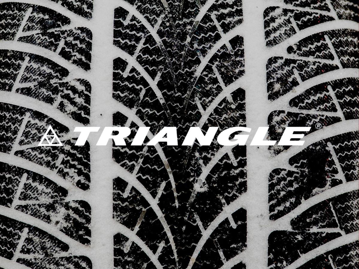 Winterreifentest 2026 - Triangle WinterX TW401 225/45 R 17© Triangle