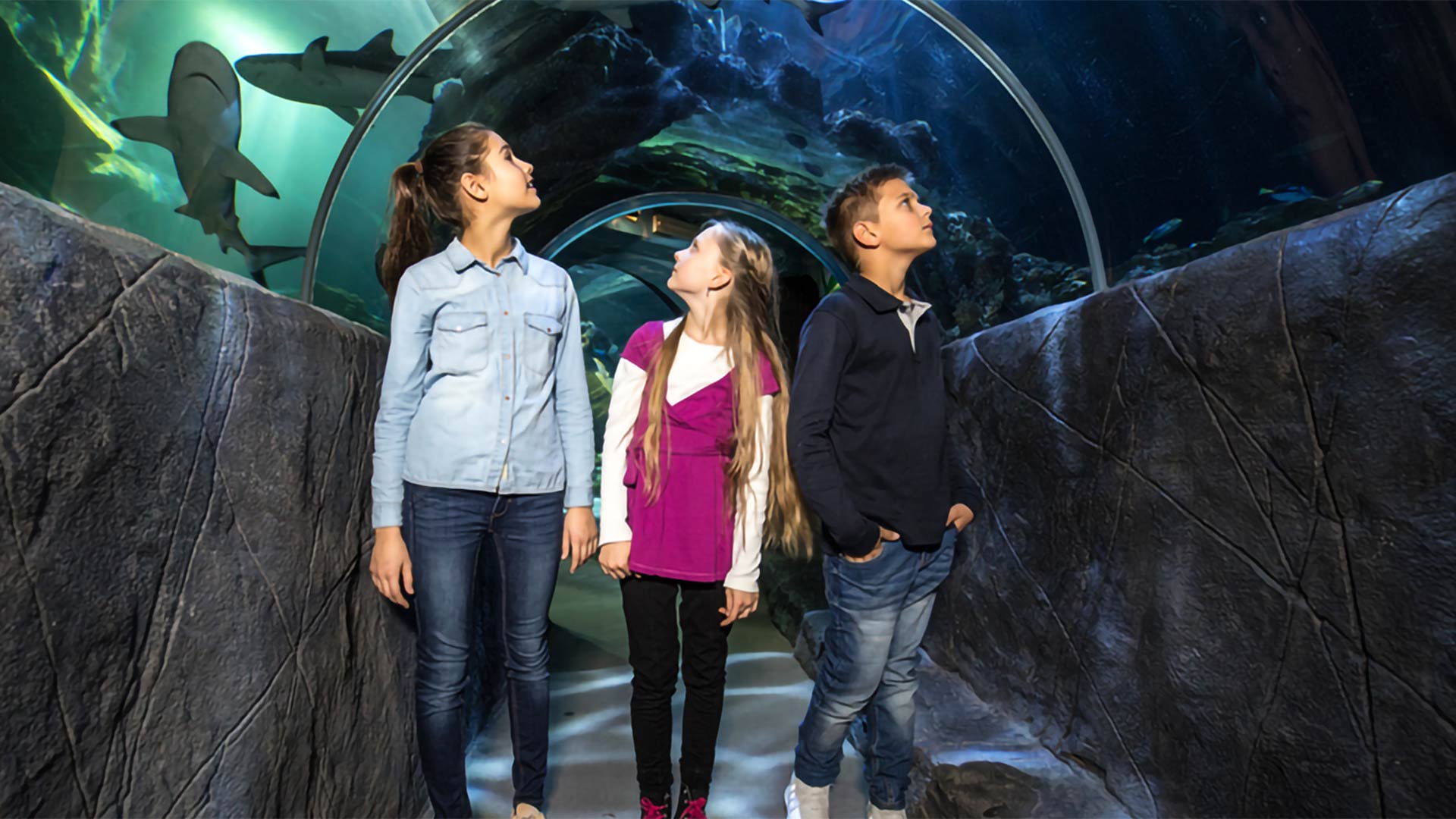 AvD Vorteilsangebot SEA LIFE München© SEA LIFE München