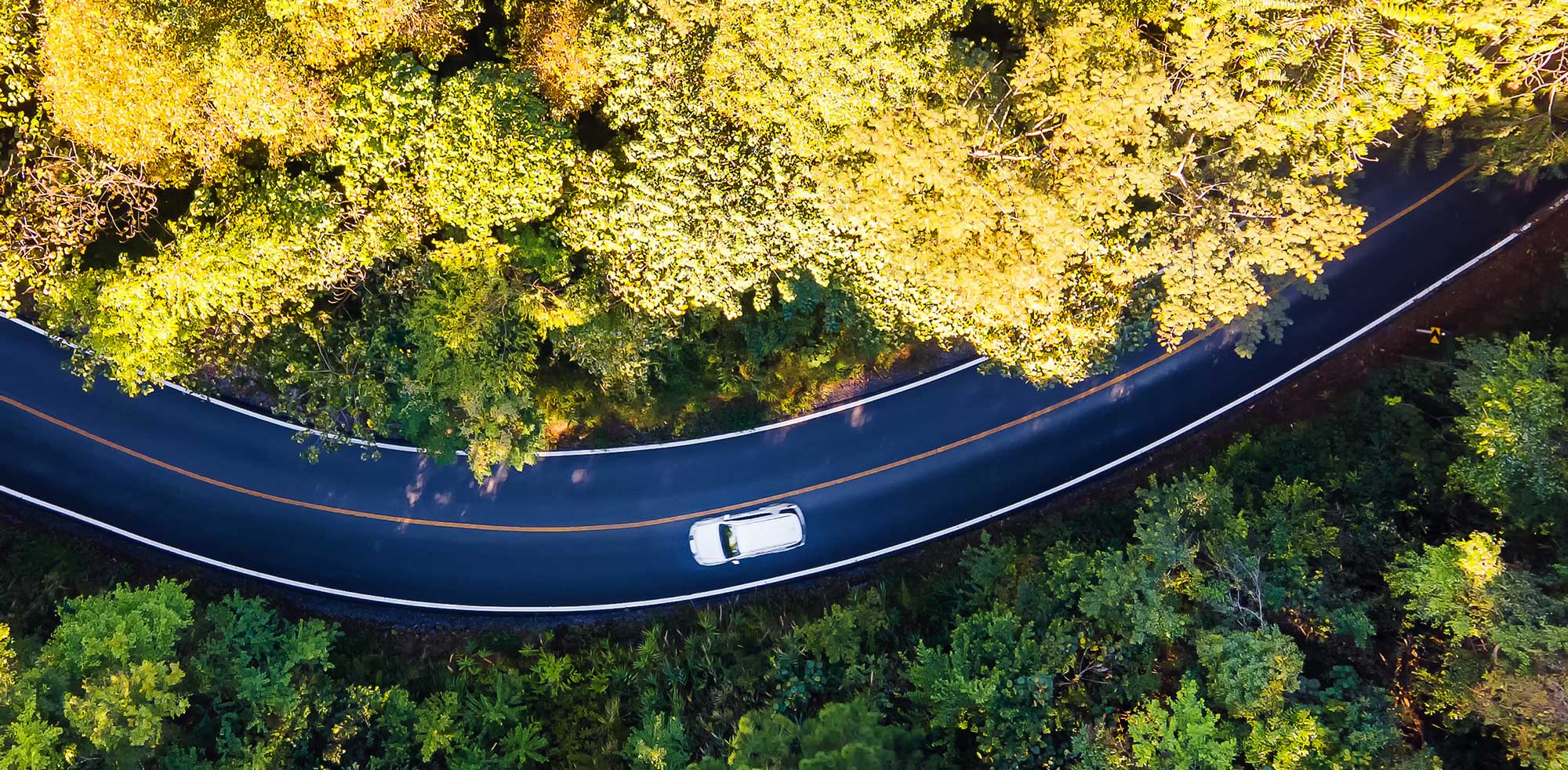 AvD Artikel - Person fährt mit einen E-Auto durch die Landschaft.