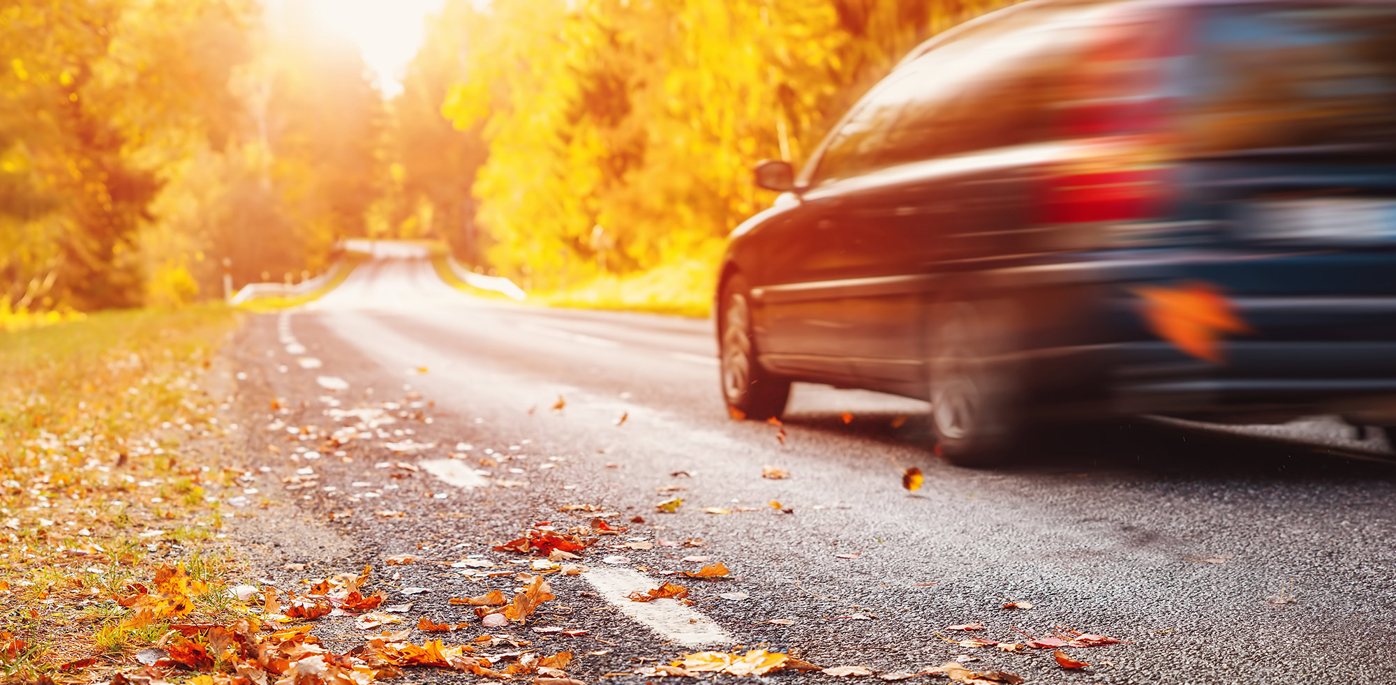 AvD Pressemeldung - Gute Fahrt und sicheres Ankommen im HerbstCopyright (c) 2022 LeManna/Shutterstock. No use without permission. (Photographer)