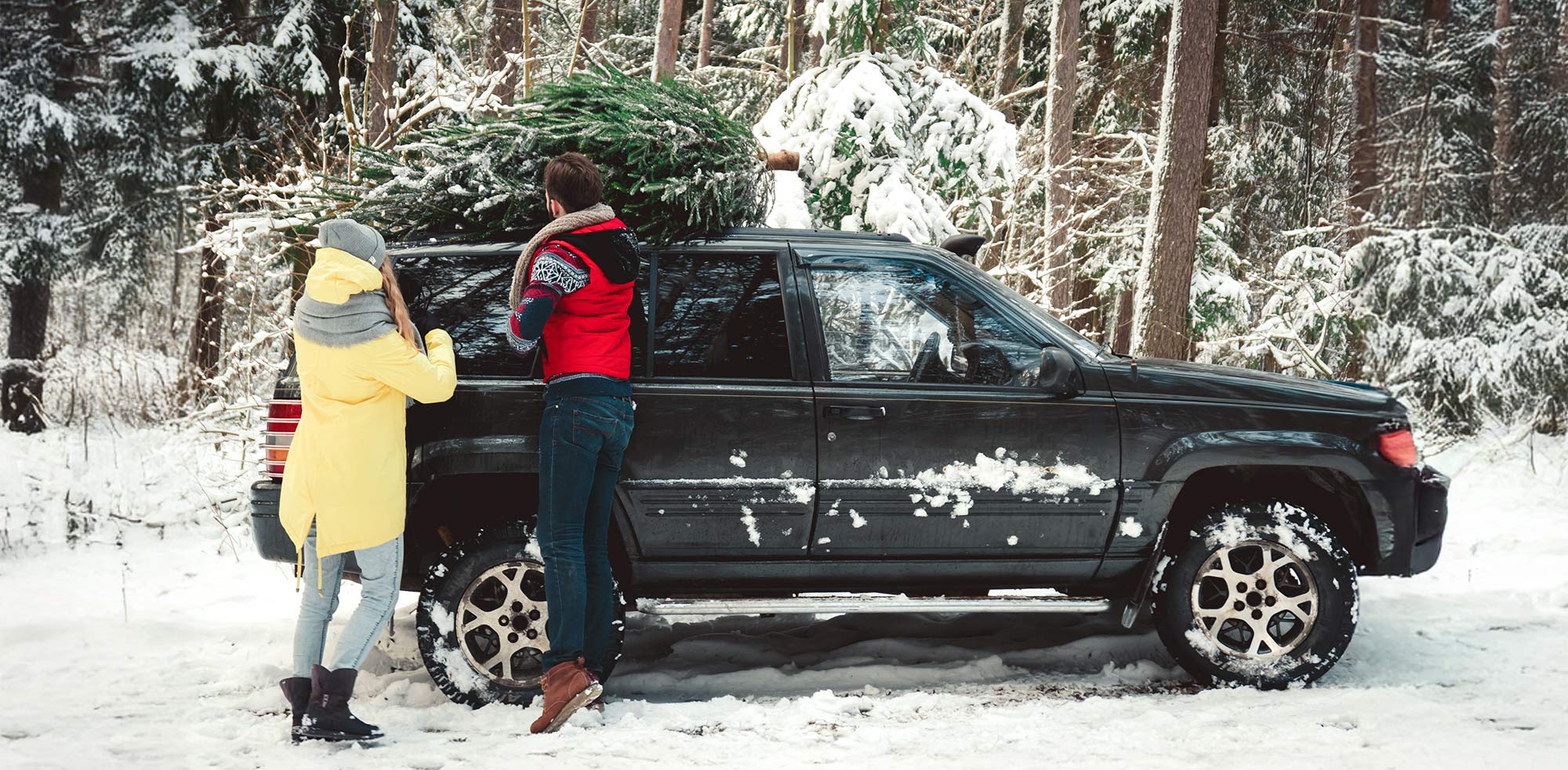 AvD Pressemeldung - Weihnachtsbaum und Festtagsschmuck sicher transportierenCopyright (c) 2017 Supamotionstock.com/Shutterstock. No use without permission. (Photographer)