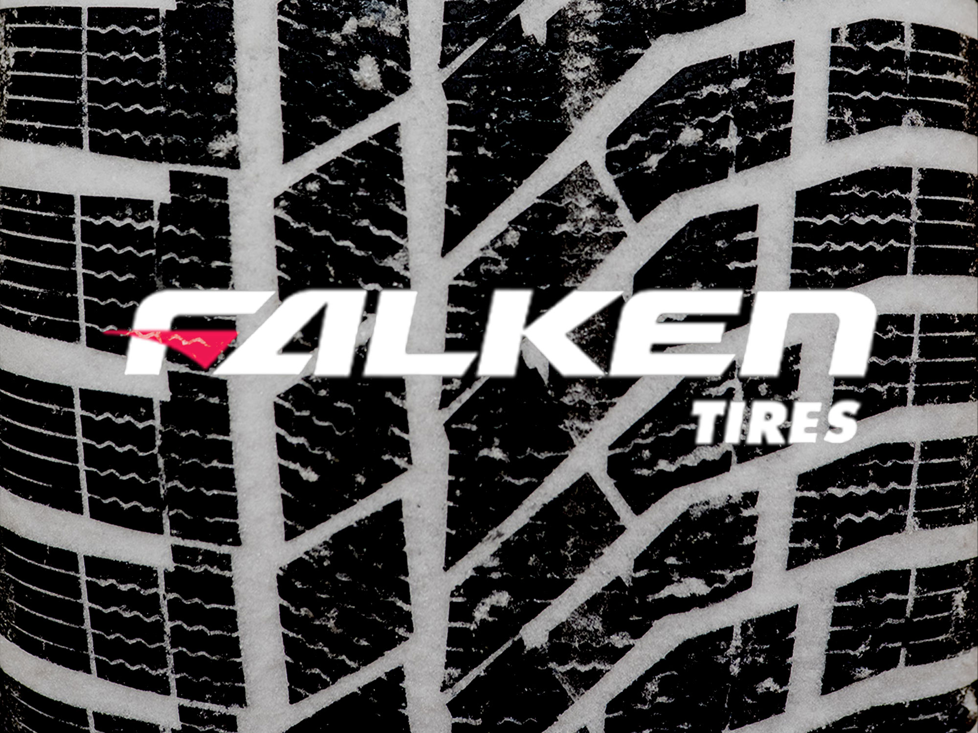 Winterreifentest 2026 - Falken Eurowinter HS02 Pro 225/45 R 17© Falken