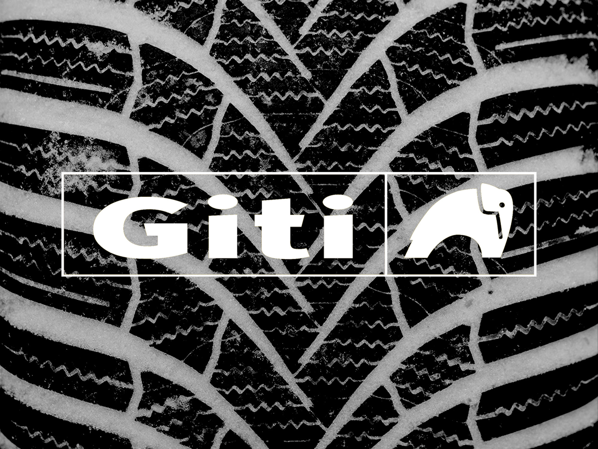 Winterreifentest 2026 - Giti GitiWinter W2 225/45 R 17© Giti