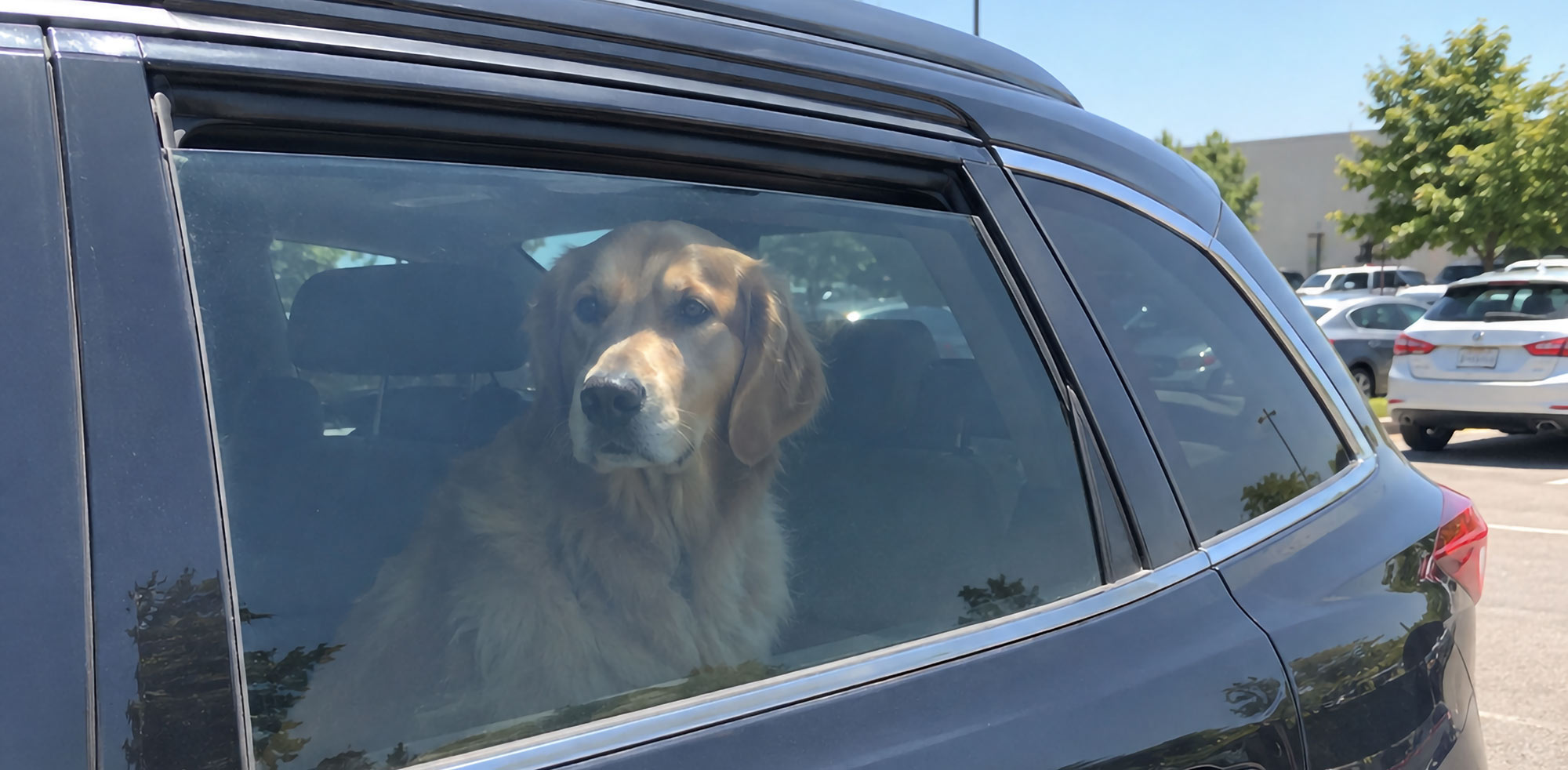 Hund im Auto bei Hitze und das Fenster ist einen Spalt geöffnet© KI generierter Inhalt