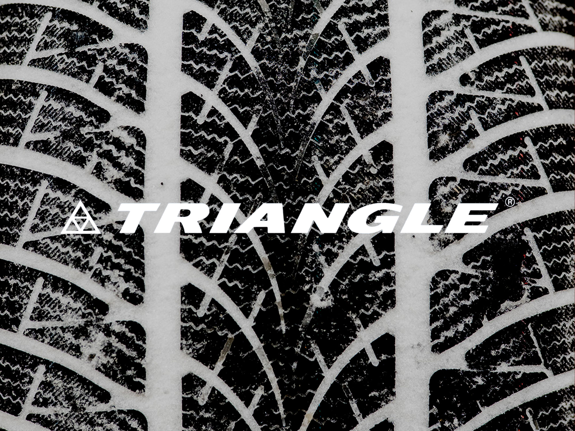 Winterreifentest 2026 - Triangle WinterX TW401 225/45 R 17 Winterreifentest 2026 - Triangle WinterX TW401 225/45 R 17© Triangle